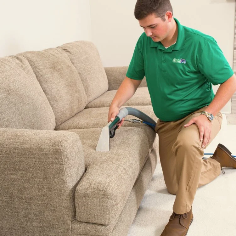 Couch & Sofa Cleaning