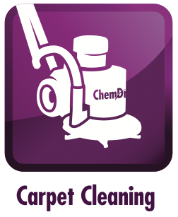 carpet cleaning icon